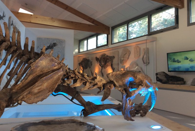 Naturkundemuseum der Ardèche : fossilien unt dinosaurier à Balazuc - 0