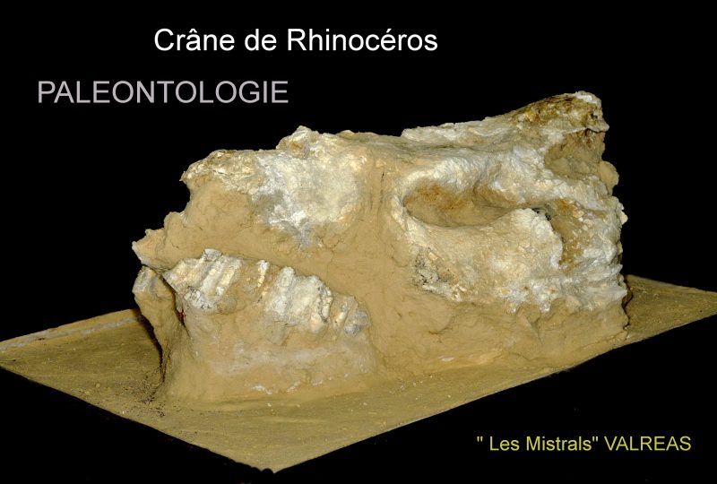 Journées Européennes de l’archéologie à Valréas - 0