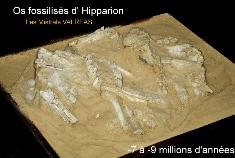 Journées Européennes de l’archéologie à Valréas - 1