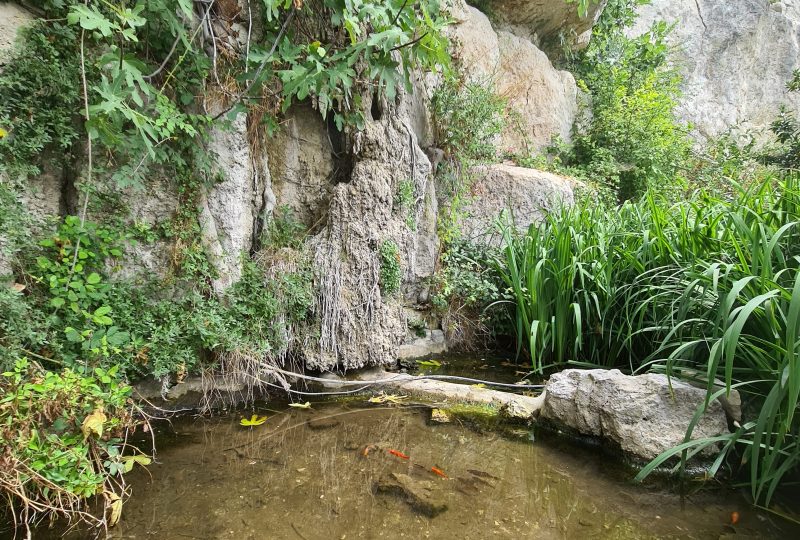 Le secret du Val des Nymphes à La Garde-Adhémar - 3