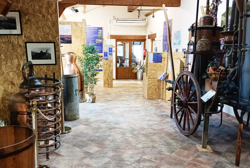 Maison de la Lavande Ardèche / Produzent-Destillateur & Museum à Saint-Remèze - 16