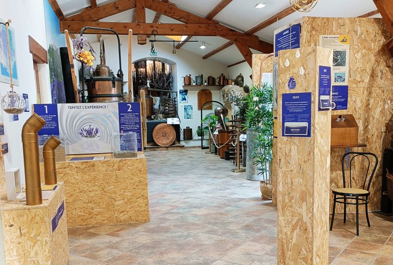 Maison de la Lavande Ardèche / Produzent-Destillateur & Museum à Saint-Remèze - 17