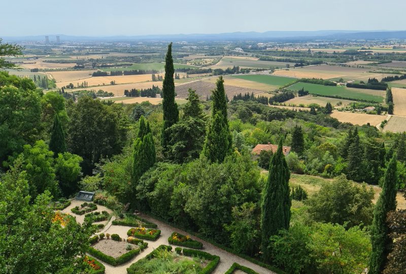 Jardin des Herbes à La Garde-Adhémar - 4