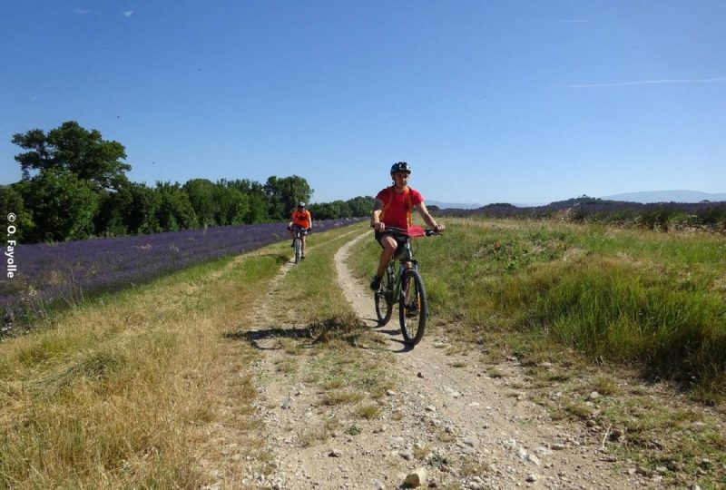 Itinéraire vtt : autour de Chanabasset à Saint-Paul-Trois-Châteaux - 0