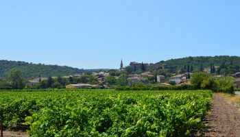 Randonnée à pied : La sente de la Farigoule_Rochegude