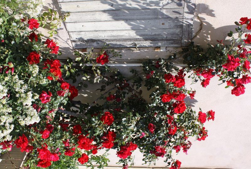 Geführte Tour durch Grignan à Grignan - 6