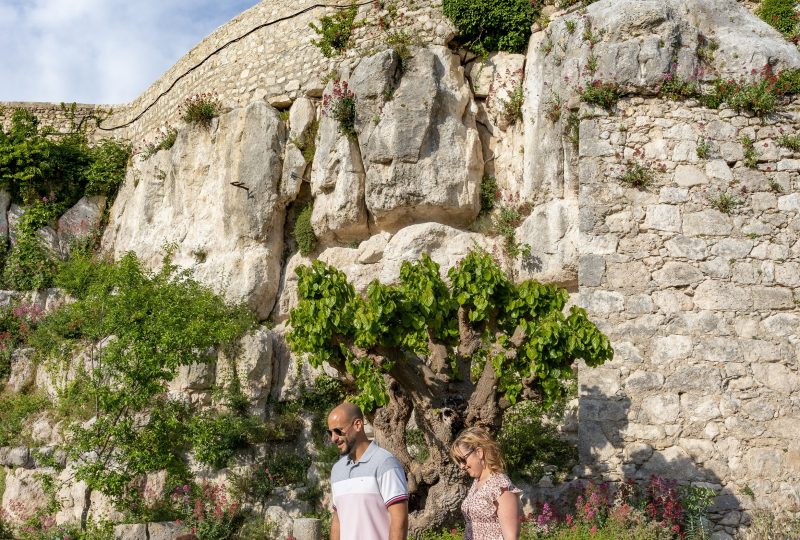 La belle vie – Drôme Sud Provence à Pierrelatte - 0