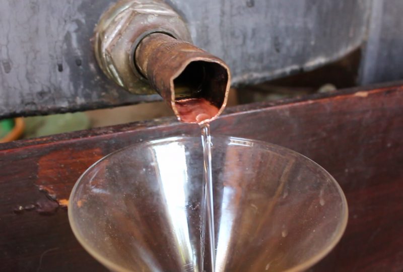 Maison de la Lavande Ardèche / Producer-Distiller & Museum à Saint-Remèze - 9