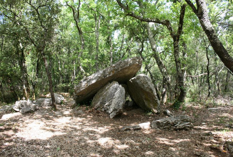 Journées européennes du Patrimoine – Randonnée découverte des dolmens des Oeillantes à Orgnac-l'Aven - 0