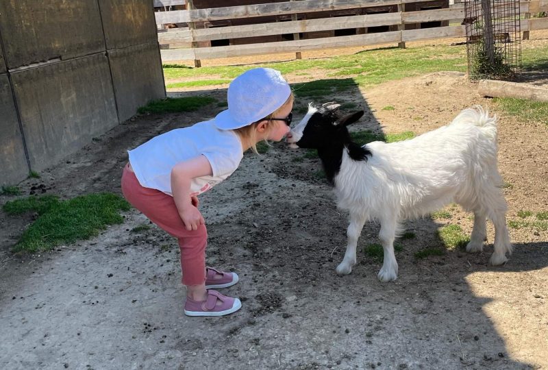 Farm: Au bonheur des animaux à La Garde-Adhémar - 8