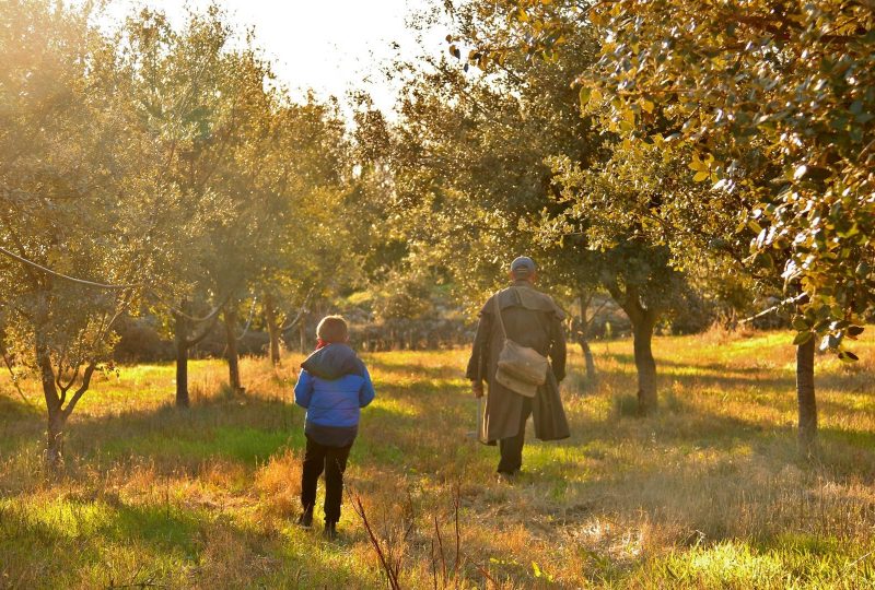 Domaine du Val des Nymphes à La Garde-Adhémar - 30