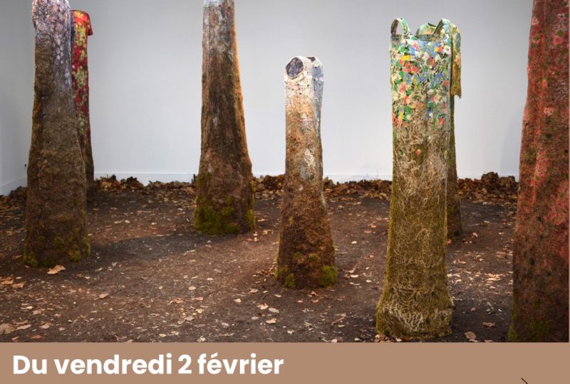 “Sortie de terre” – Exposition de Stéphanie Cailleau à Valaurie - 0