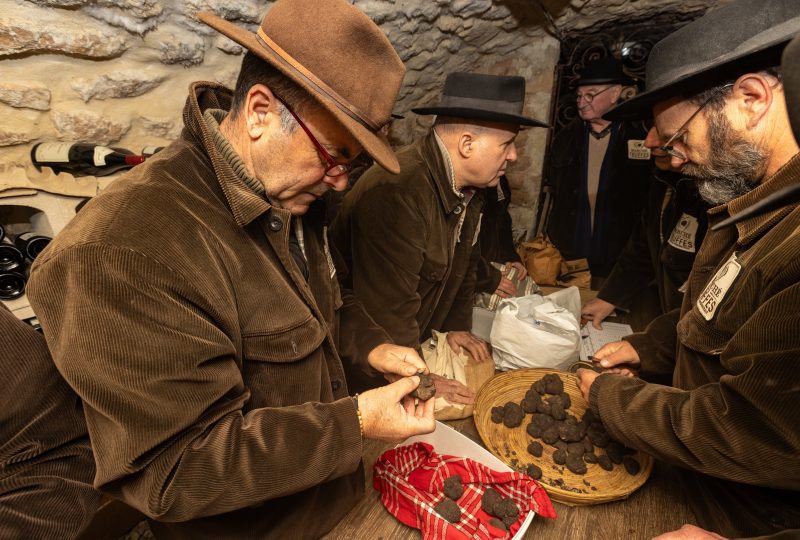 Journée truffes noires à Saint-Paul-Trois-Châteaux à Saint-Paul-Trois-Châteaux - 1