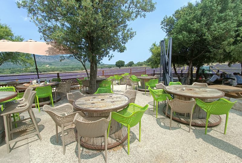 Maison de la Lavande Ardèche / Producent-Distilleerderij & Museum à Saint-Remèze - 13