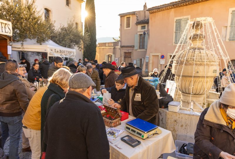 Marché aux Truffes Noire du Tricastin à Saint-Paul-Trois-Châteaux - 1