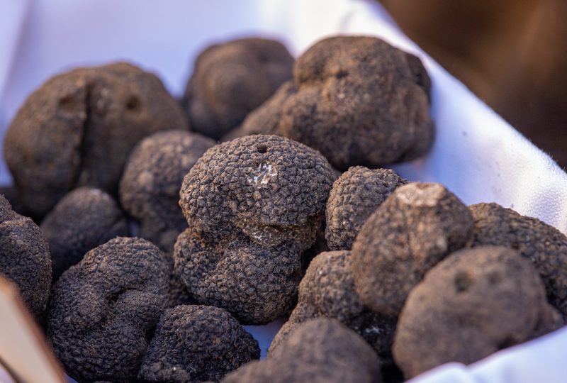 Marché aux Truffes Noire du Tricastin à Saint-Paul-Trois-Châteaux - 2