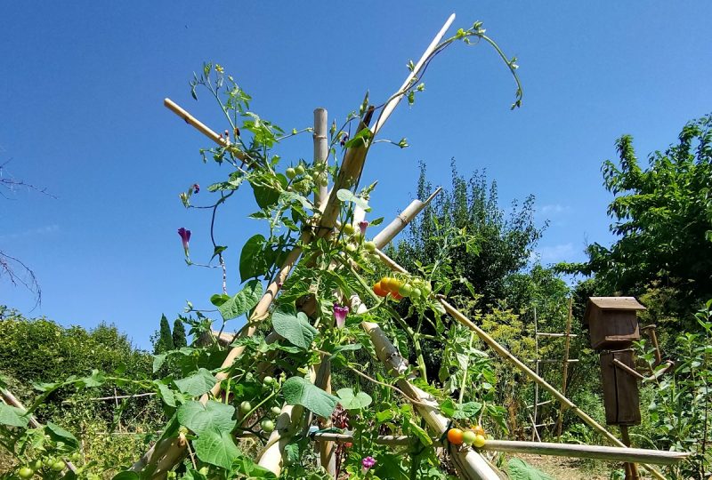 De Naturoptère à Sérignan-du-Comtat - 3