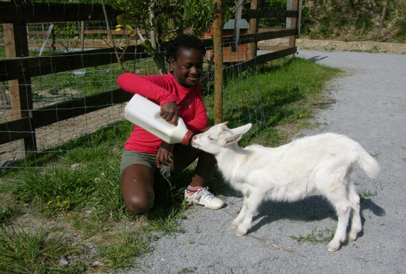 Dierentuin in Lussas à Lussas - 13