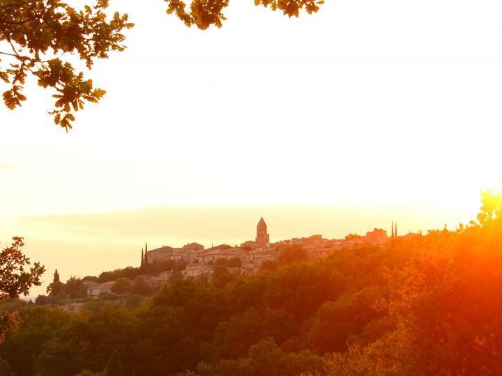 Domaine du Val des Nymphes à La Garde-Adhémar - 29