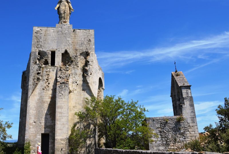 Sur les sentiers de la truffe à Saint-Paul-Trois-Châteaux - 1