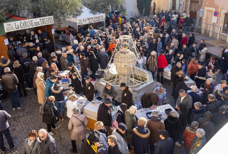 Journée truffes noires à Saint-Paul-Trois-Châteaux à Saint-Paul-Trois-Châteaux - 0