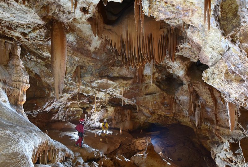 Grotte de la Salamandre à Méjannes-le-Clap - 7