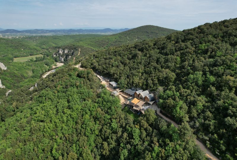 Grotte de la Salamandre à Méjannes-le-Clap - 10