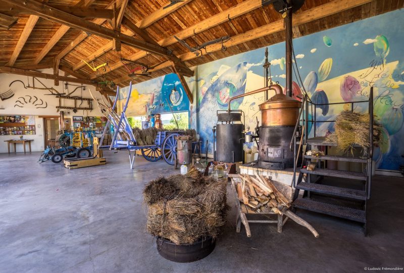 Maison de la Lavande Ardèche / Producteur-Distillateur & Musée à Saint-Remèze - 10