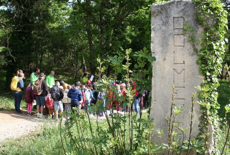 Journées européennes du Patrimoine – Randonnée découverte des dolmens des Oeillantes à Orgnac-l'Aven - 2