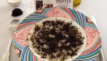 Destination Truffes avec les artisans de la truffe noire_Suze-la-Rousse