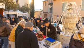 Marché aux Truffes Noire du Tricastin_Saint-Paul-Trois-Châteaux