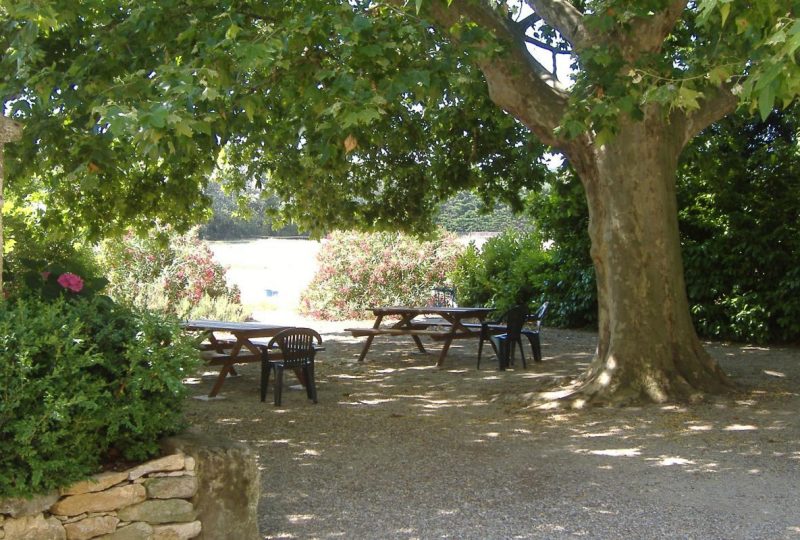 La ferme des Rosières à La Garde-Adhémar - 2