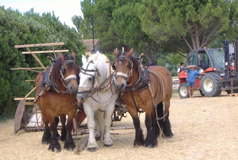 La ferme des Rosières à La Garde-Adhémar - 28