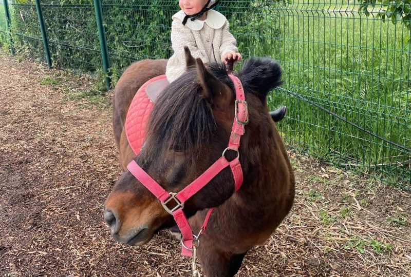 Ferme : Au bonheur des animaux à La Garde-Adhémar - 9