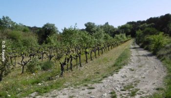 Les carrières de Sainte Juste